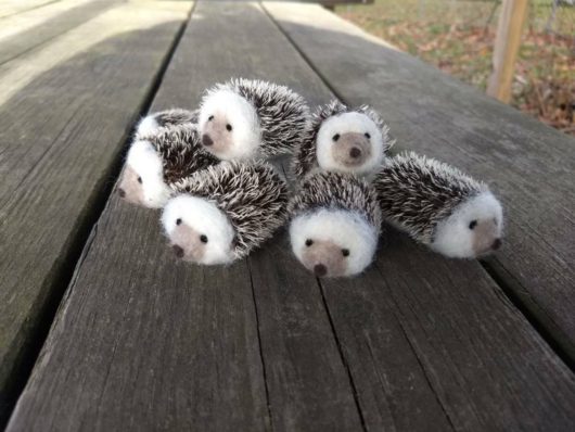 Mini Hedgehog - Image 2
