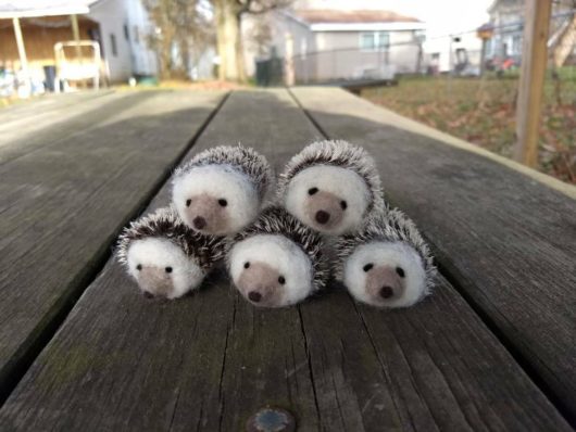 photo of needle felted hedgehogs