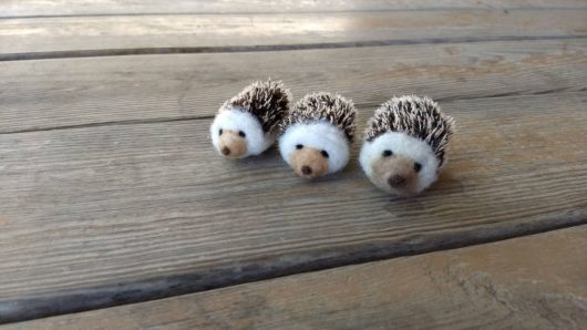 Mini Hedgehog - Image 3