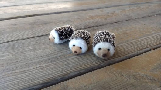 Mini Hedgehog - Image 5
