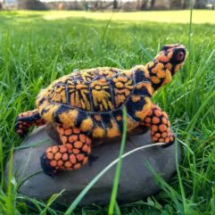 Photo of Needle Felted Box Turtle
