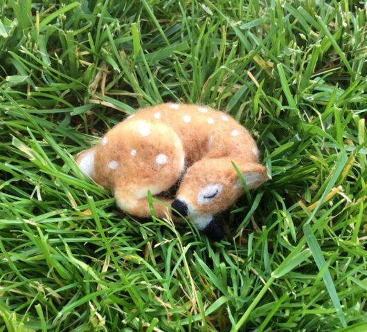 Sleeping Fawn - Image 3