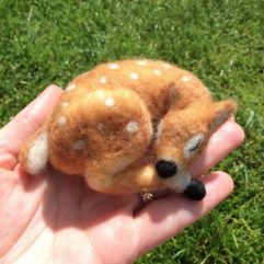 Sleeping Fawn