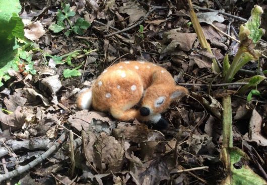 Sleeping Fawn - Image 2