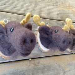 Mounted Moose Head