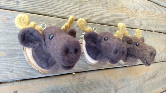 Mounted Moose Head