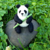 Panda Bear with Bamboo - Image 3